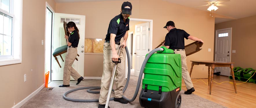 Del Mar, CA cleaning services